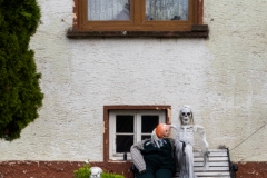 German front yard