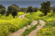Besparmak Trail, North Cyprus