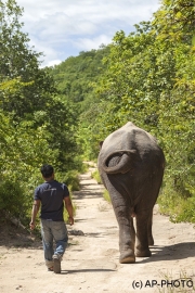Pmom Tamao Reserve, Cambodia