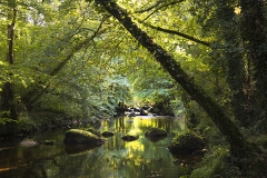 Chagford, Dartmoor