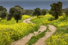 Besparmak Trail, North Cyprus