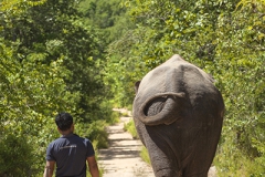 Pmom Tamao Reserve, Cambodia