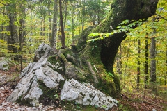 Triglav National Park, Slovenia