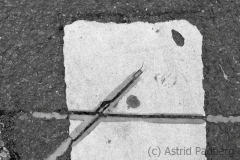 Graphic on the ground