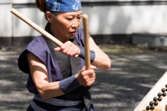 Japan Day 2017