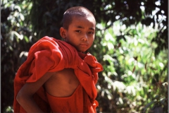 Novice, Myanmar