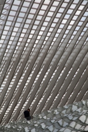 Bahnhof Liege-Guillemins