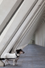 Bahnhof Liege-Guillemins