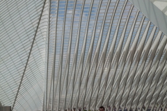 Bahnhof Liege-Guillemins