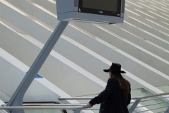Bahnhof Liege-Guillemins