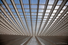 Bahnhof Liege-Guillemins