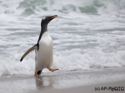 Fanny Cove House / Bull Point