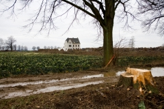 Last tree standing, former alley Otzenrath