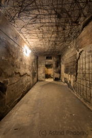 Film archive, Airport Berlin-Tempelhof