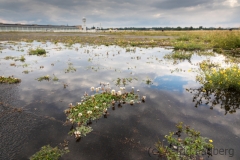 Airport Berlin-Tempelhof