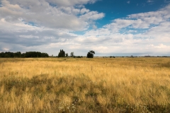 Airport Berlin-Tempelhof