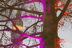 Tree and tower reflecting in lake, Germany