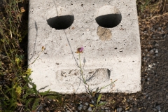 Urban face