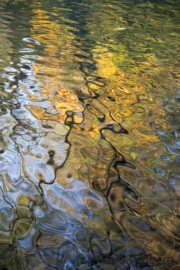 Water (c) Astrid Padberg