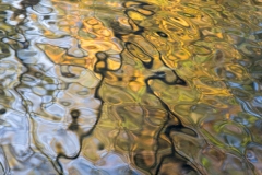 Water (c) Astrid Padberg
