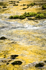 Wasserlauf_4746_rag_web