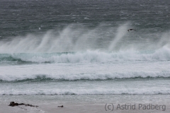 788volunteer beach_2184-2_web