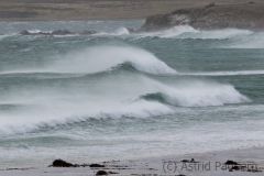 791volunteer beach_2187_web