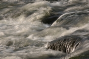 Wipperaue, Wupper