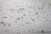 Wipperaue, rain