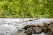 Wipperaue, Wupper