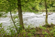 Wipperaue, Wupper