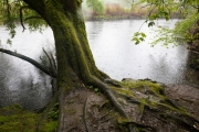 Wipperaue, Wupper