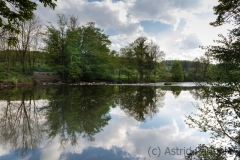 Wipperaue, Wupper