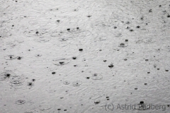 Wipperaue, rain