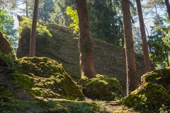 001landschaft_goldau_0522