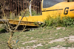 hyaene_7776_web