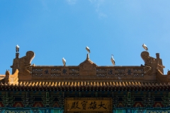 stoerche_7549_web