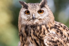 uhu_7853_web